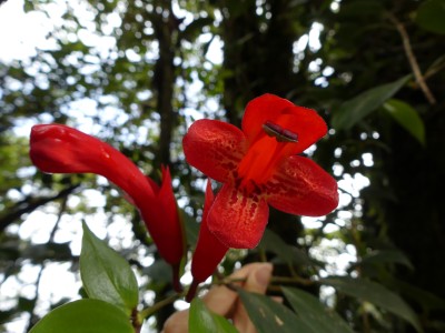 P1410117