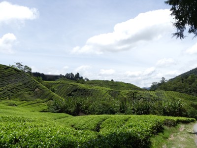 P1410135