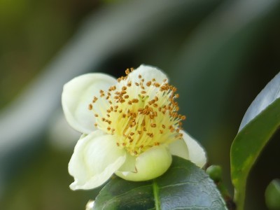 P1410166