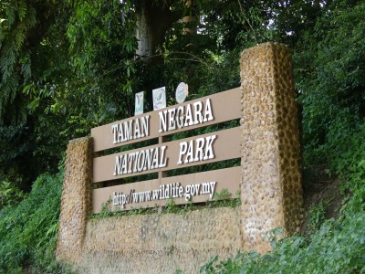 Le parc national de Kuala Tahan