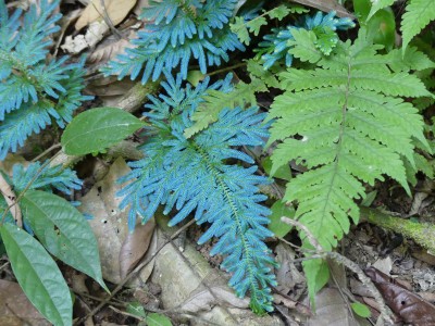 P1410276