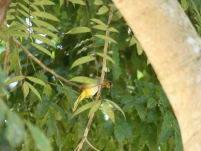 P1410444
