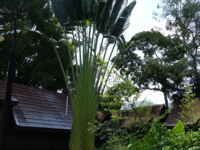 P1410454