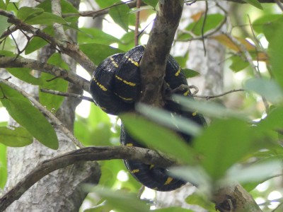 P1420258
