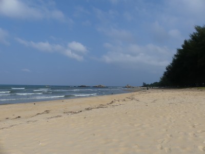 P1420428