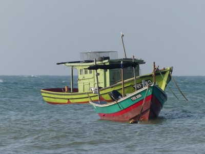 P1420462
