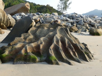P1420465