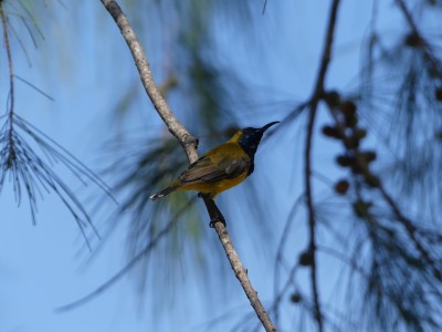 P1420603