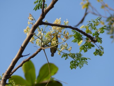 P1420755