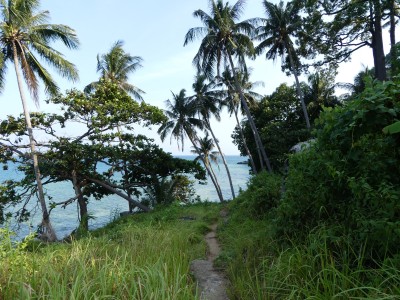Île Tioman