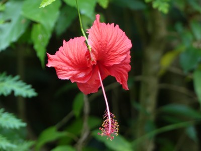 P1430047