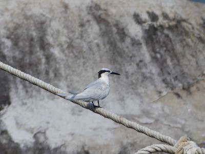 P1430069