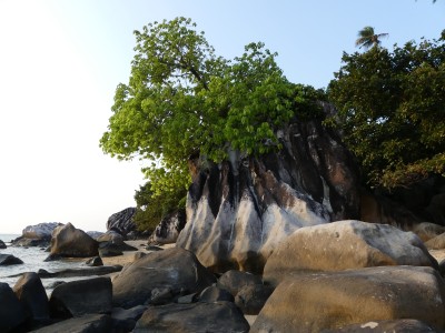 P1430153