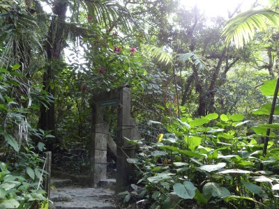 P1440611