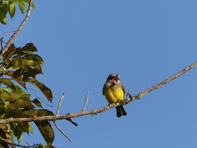 P1440804
