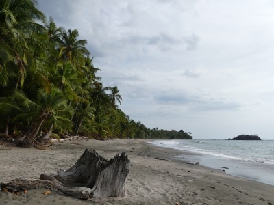 P1440981