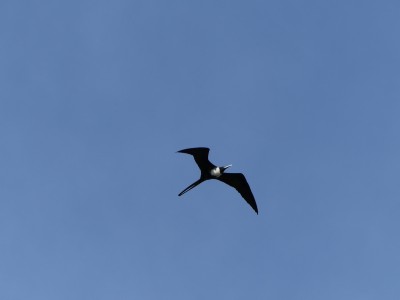 P1450170