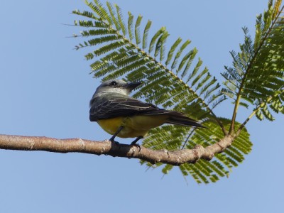 P1450180
