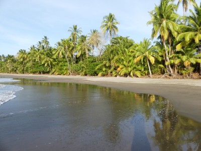 P1450181