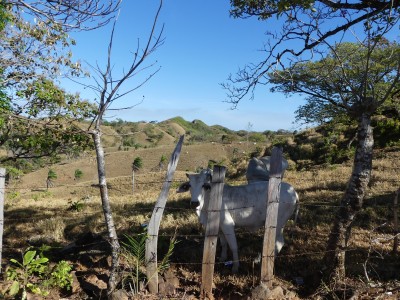 P1450336