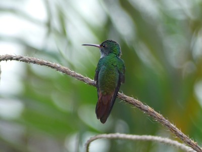 P1450354
