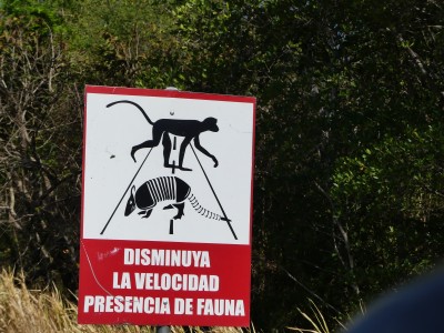 P1450658