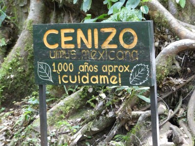 P1450770