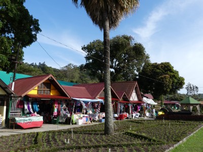 P1460632