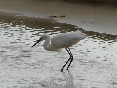 P1460804