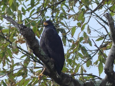 P1460834