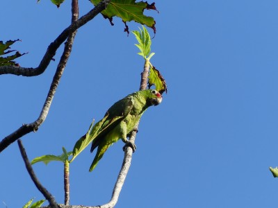 P1470419