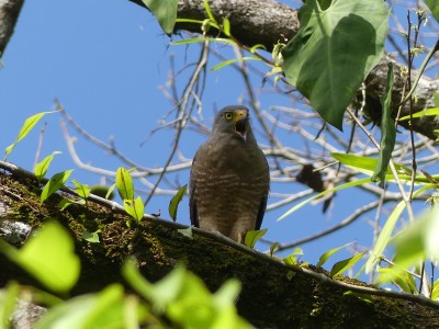 P1470482