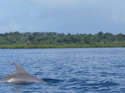 P1470728