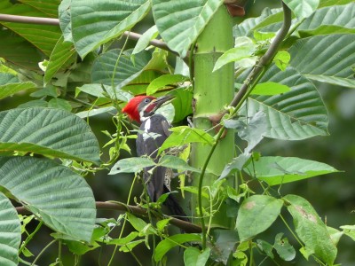 P1470936