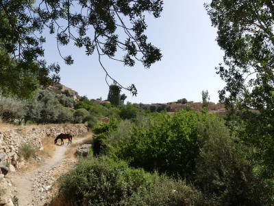 P1480632