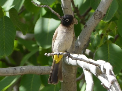 P1480640