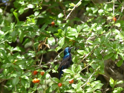 P1480651