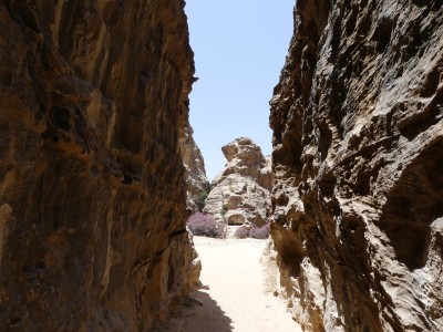 Pétra, Siq El Bared (Little Petra )