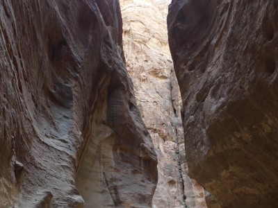 P1490049