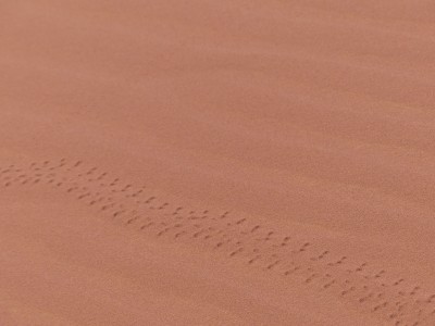 Wadi Rum