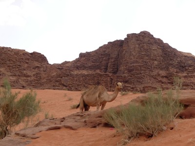 Wadi Rum