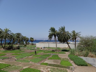 P1500097