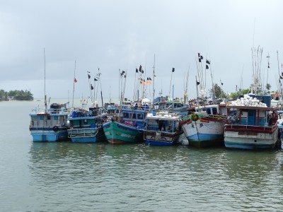 P1500532