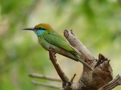 P1510283