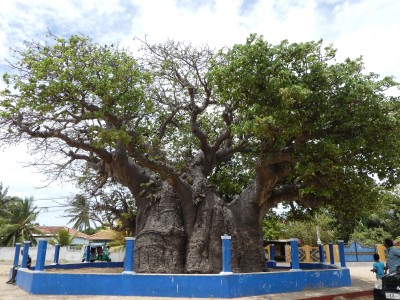 P1510346