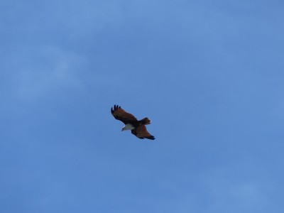 P1510418
