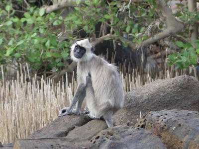 P1510804