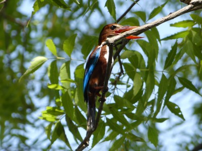 P1530125