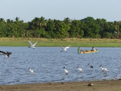 P1530304