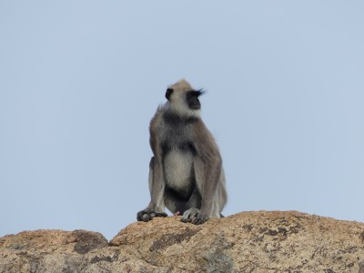 P1530362